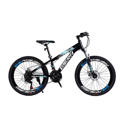 Hardtail Mtb 29 tommu