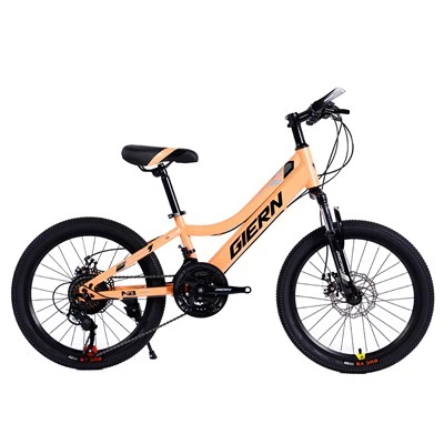 Stál Hardtail Frame 20 MTB