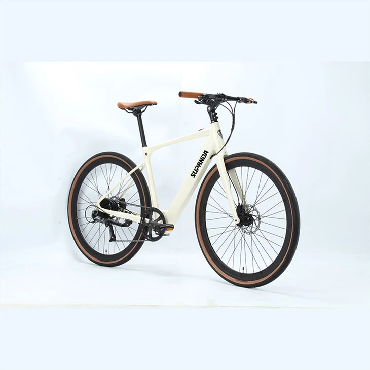 electric powerful road bicycle